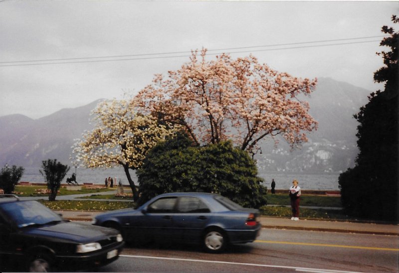 199803xx - 029 Venice, Florence, Rome.jpg